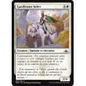 Gardienne ledev / Ledev Guardian