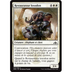 Restaurateur loxodon / Loxodon Restorer