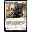 Restaurateur loxodon / Loxodon Restorer