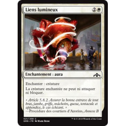 Liens lumineux / Luminous Bonds