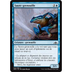Saute-grenouille / Leapfrog