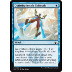 Optimisation de l'altitude / Maximize Altitude