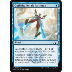 Optimisation de l'altitude / Maximize Altitude