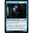 Expert passe-muraille / Passwall Adept