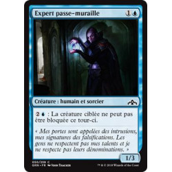 Expert passe-muraille / Passwall Adept