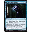 Expert passe-muraille / Passwall Adept