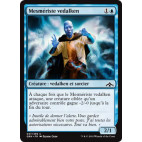 Mesmériste vedalken / Vedalken Mesmerist