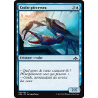 Crabe piècevoeu / Wishcoin Crab