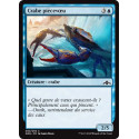 Crabe piècevoeu / Wishcoin Crab