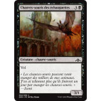 Chauves-souris des échauguettes / Bartizan Bats