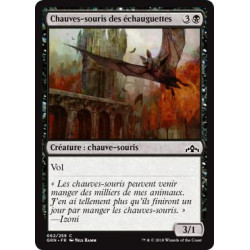 Chauves-souris des échauguettes / Bartizan Bats