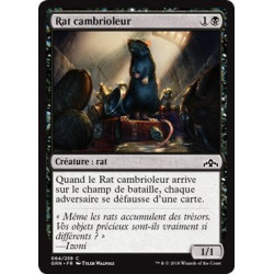 Rat cambrioleur / Burglar Rat