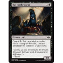Rat cambrioleur / Burglar Rat