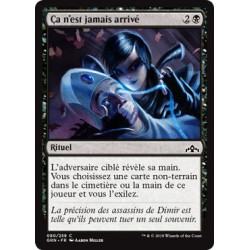Ça n'est jamais arrivé / Never Happened
