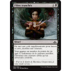 Filins tranchés / Severed Strands