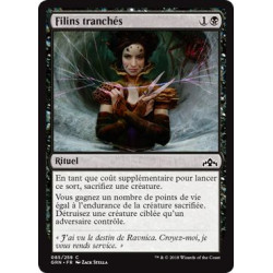 Filins tranchés / Severed Strands