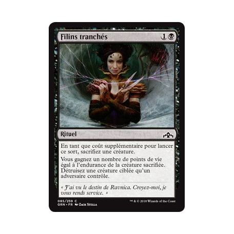 Filins tranchés / Severed Strands