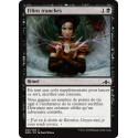 Filins tranchés / Severed Strands