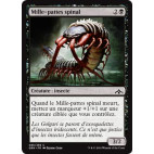 Mille-pattes spinal / Spinal Centipede