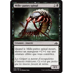 Mille-pattes spinal / Spinal Centipede