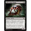 Mille-pattes spinal / Spinal Centipede