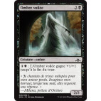 Ombre voilée / Veiled Shade