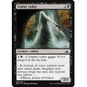 Ombre voilée / Veiled Shade