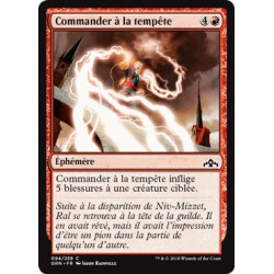 Commander à la tempête / Command the Storm