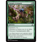 Canopée écrasante / Crushing Canopy