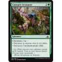 Canopée écrasante / Crushing Canopy