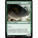 Recluse crochegriffe / Hitchclaw Recluse