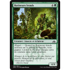 Butineurs krauls / Kraul Foragers