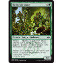 Butineurs krauls / Kraul Foragers