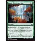 Pause d'introspection / Pause for Reflection