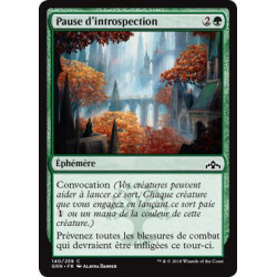 Pause d'introspection / Pause for Reflection