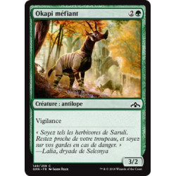 Okapi méfiant / Wary Okapi
