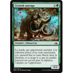 Cératok sauvage / Wild Ceratok