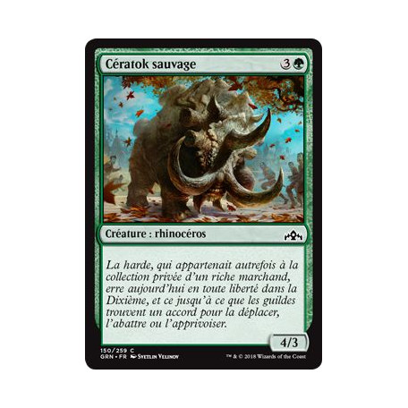Cératok sauvage / Wild Ceratok