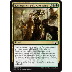Soulèvement de la Citerraine / Undercity Uprising