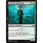 Gorgone impitoyable / Pitiless Gorgon