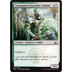 Compagnon bouclier verdani / Vernadi Shieldmate