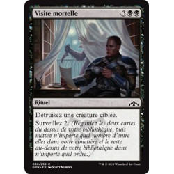 Visite mortelle / Deadly Visit