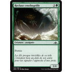 Recluse crochegriffe / Hitchclaw Recluse