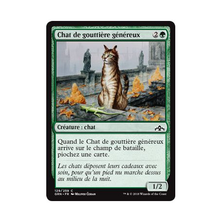 Chat de gouttière généreux / Generous Stray