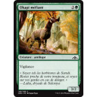 Okapi méfiant / Wary Okapi