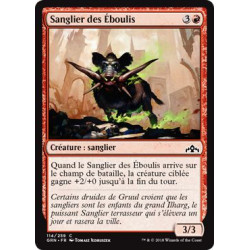 Sanglier des Éboulis / Rubblebelt Boar