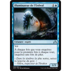 Illuminateur de l'Erdwal / Erdwal Illuminator