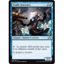 Erudit téméraire / Reckless Scholar