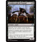 Cavalière pâle de Trostad / Pale Rider of Trostad