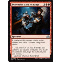 Dissension dans les rangs / Dissension in the Ranks